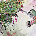 Hummingbird with Fuchsias