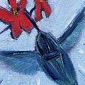 Blue Hummingbird