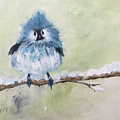 Fluffy Blue Bird