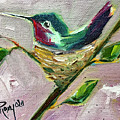 Nesting Hummbingbird