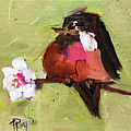 Robin 1
